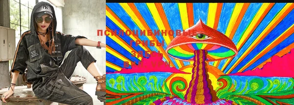 прущий лед Краснослободск
