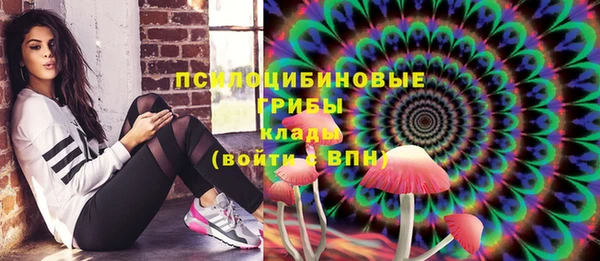прущий лед Краснослободск